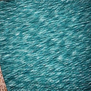 Lularoe Pencil Skirt